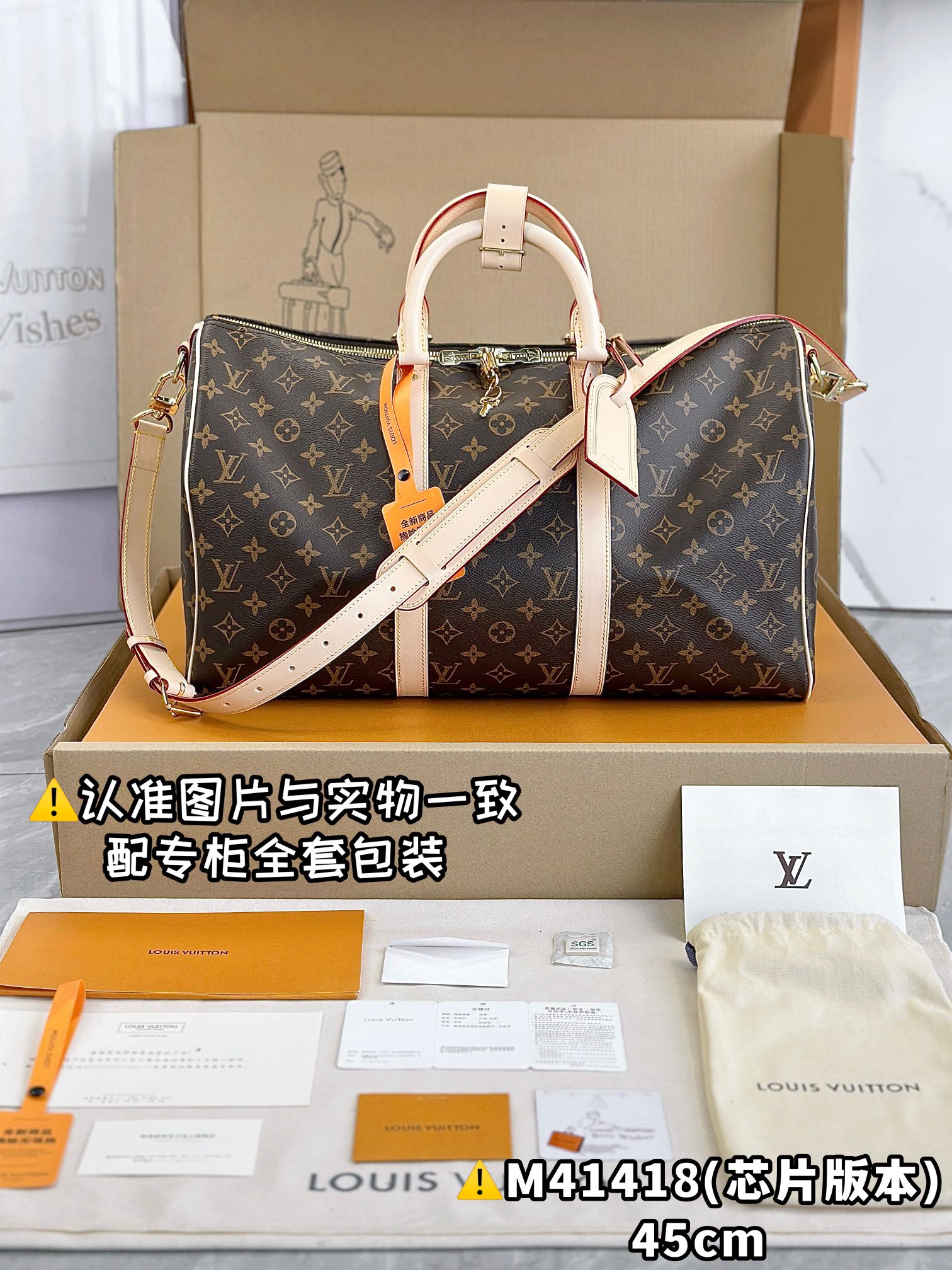 LV Travel Bags